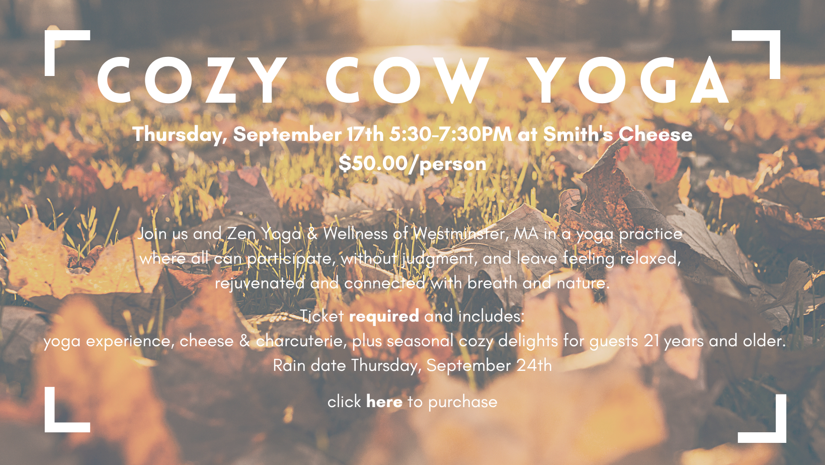 COW YOGA (8)