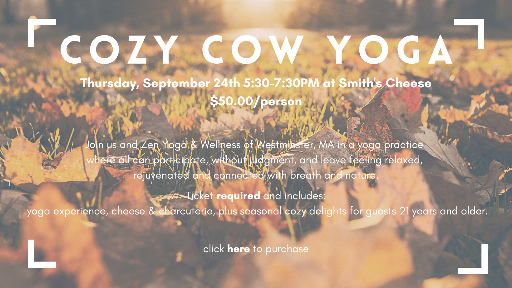 COW YOGA (9)