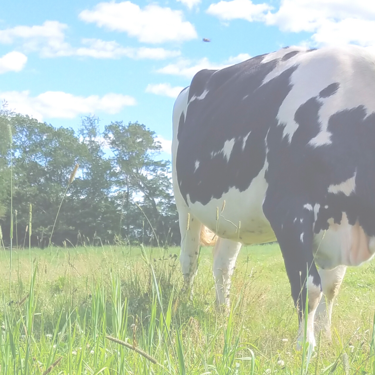 Untitled design (11)