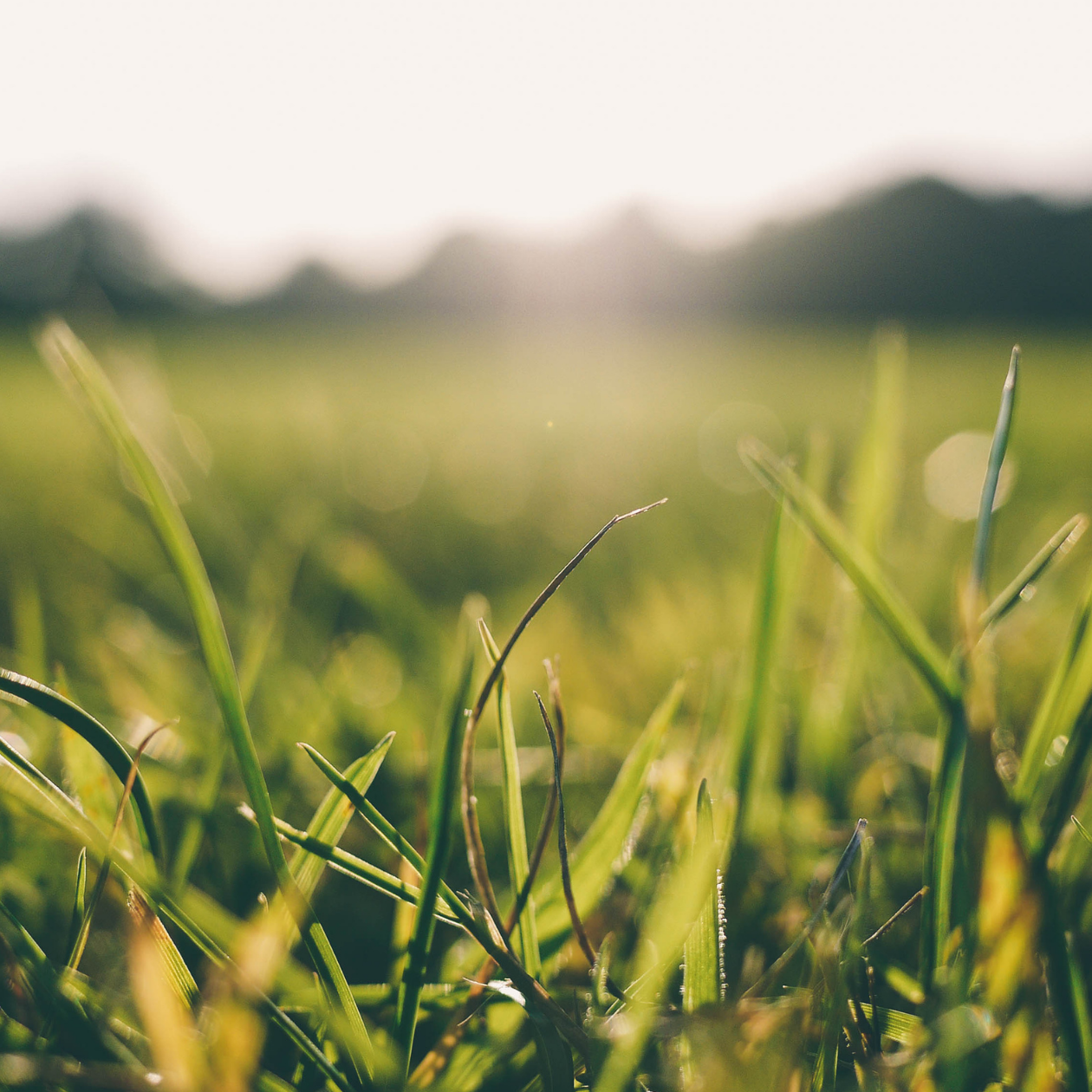 Untitled design (12)